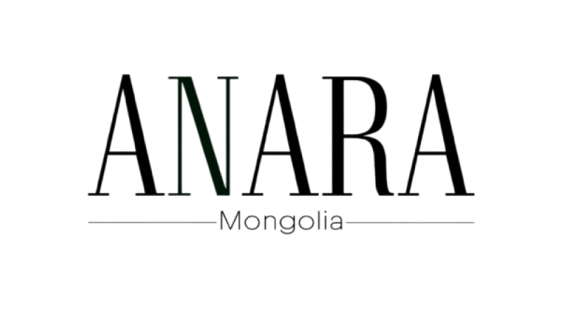 Logo 4